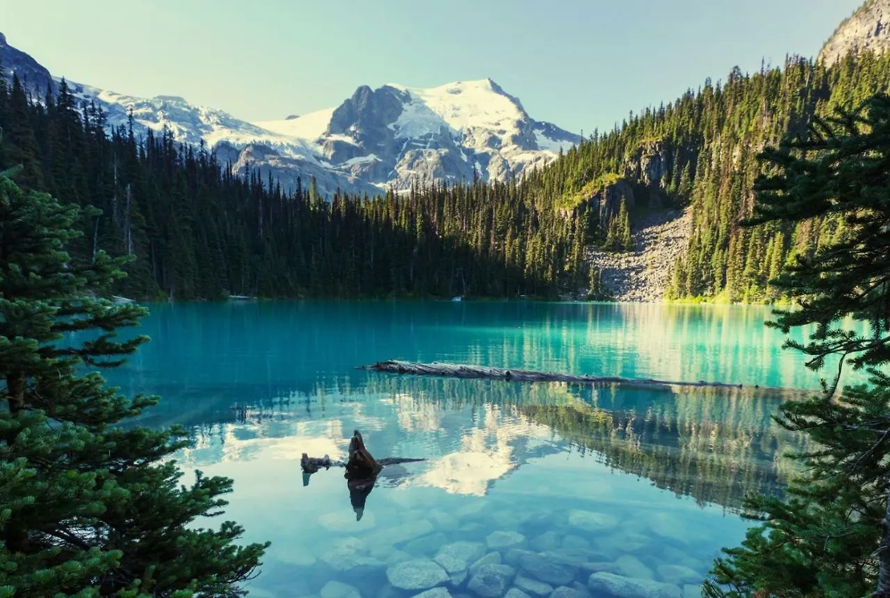 Impeccable Glacier Lodge Hotel Room W Pool+Hot Tub Whistler 0*,  Canada